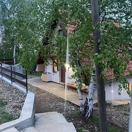 Vesna 假日公园